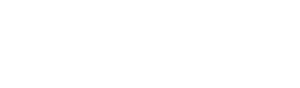 Holistified Transparent image logo